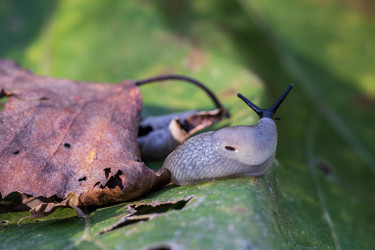 Similar image 21658793