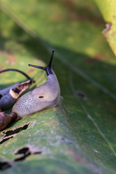 Similar image 21658794