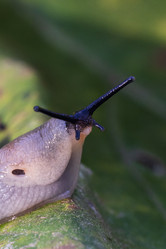 Similar image 21658796