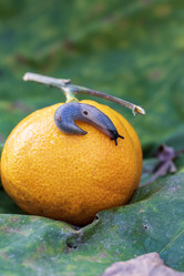 Similar image 21658797