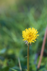 Similar image 21658798