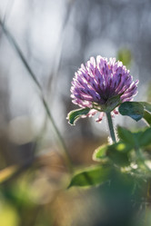 Similar image 21658799