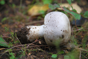 Similar image 21659277