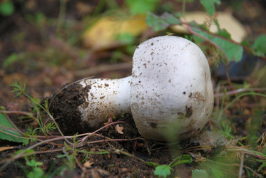 Similar image 21659278