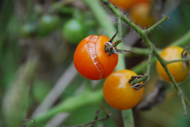 Similar image 21659281