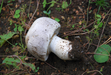 Similar image 21659291