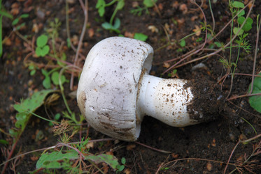 Similar image 21659292