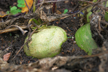 Similar image 21659293