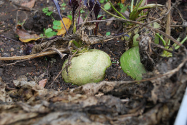 Similar image 21659294