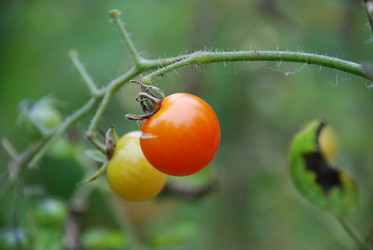 Similar image 21659295