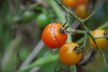 Similar image 21659296