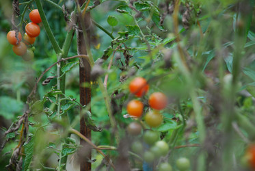 Similar image 21659297