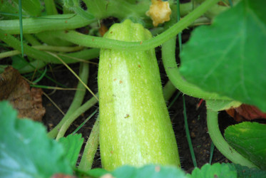 Similar image 21659302