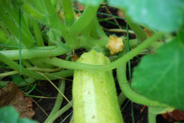 Similar image 21659303