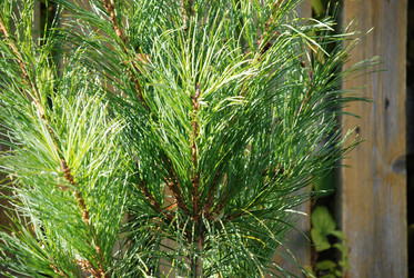 Similar image 21659305