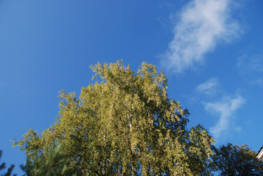 Similar image 21659306