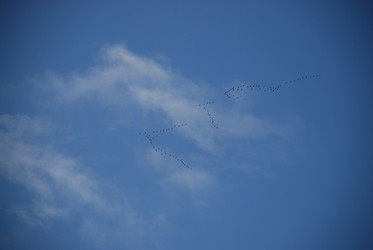 Similar image 21659307