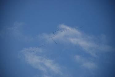 Similar image 21659308