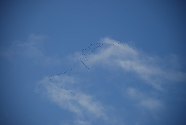 Similar image 21659309