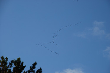 Similar image 21659310