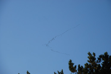 Similar image 21659312