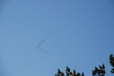 Similar image 21659313