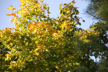 Similar image 21659314