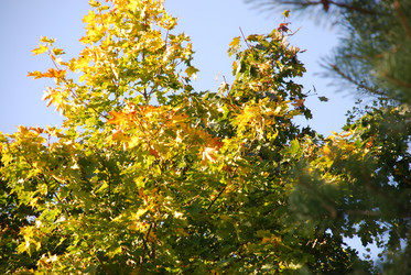 Similar image 21659315