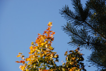 Similar image 21659316