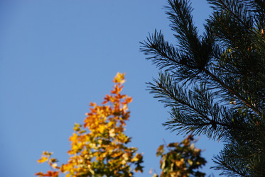 Similar image 21659317