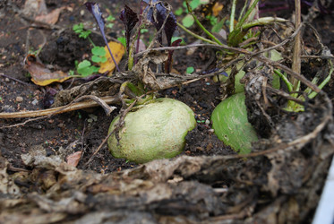 Similar image 21659319