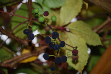 Similar image 21659320