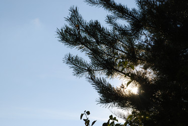 Similar image 21659324