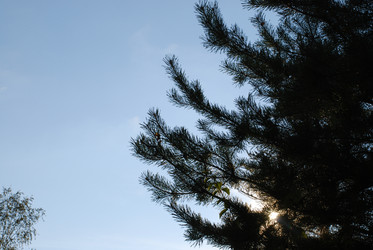 Similar image 21659325