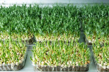 Similar image 21657027