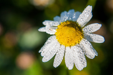 Similar image 21659506