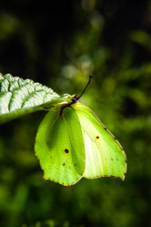 Similar image 21659526