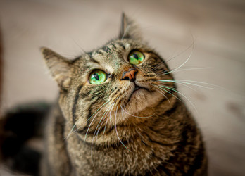 Similar image 21658824