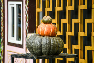 Similar image 21658826