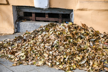 Similar image 21658831