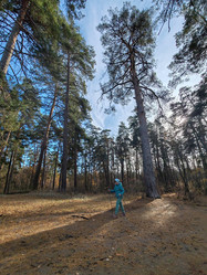 Similar image 21659527