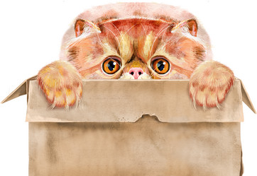 Similar image 21658704