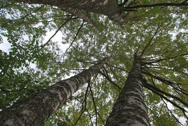 Similar image 21659326