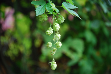 Similar image 21659327