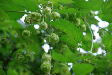 Similar image 21659329