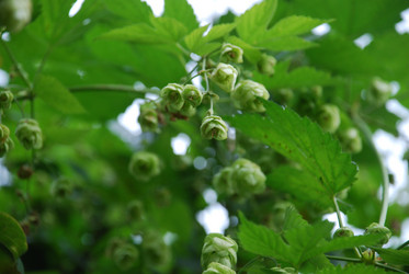 Similar image 21659330