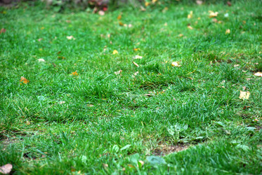 Similar image 21659331