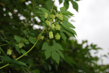 Similar image 21659332