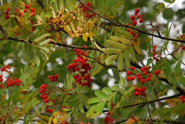 Similar image 21659333