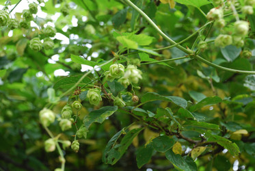 Similar image 21659334